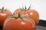El tomate de La Cañada-Níjar arranca la campaña 2011/2012 asistiendo a Andalucía Sabor