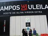 El primer aforo del olivar prevé esta campaña una cosecha de más de 51.500 toneladas de aceituna en Almería