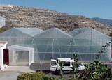 Agricultura publica la resolución provisional de ayudas a invernaderos de excelencia, con una subvención total de 22,2 millones