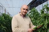 Agroponiente triplica la superficie de cultivo certificada bajo el sello de calidad Global GAP