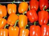 El pimiento multiplica su precio por cuatro desde el origen al destino