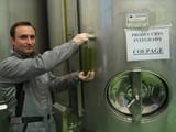 La Junta incentiva la producción de aceite de calidad con una ayuda para la modernización de ‘Campos de Uleila’