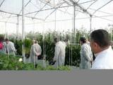 La Fundación Cajamar muestra sus ensayos de innovación al sector agroalimentario