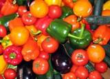 Productores de Francia, Italia y España de frutas y hortalizas buscan posiciones comunes en las próximas reuniones del Comité Mixto