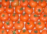 Los precios de tomate y pimiento siguen al alza, mientras el resto de productos se deprecian ligeramente
