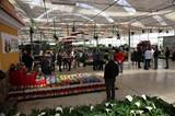 Más de 200 profesionales participan en las IV Jornadas de Puertas Abiertas de Solisplant