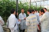 Coexphal muestra a agricultores y agronomos griegos las técnicas de producción y comercialización del “modelo Almería”