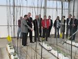 Novedades Agrícolas lidera el proyecto Interconecta que recibe 2,50 millones de € para conseguir una producción ininterrumpida de los cultivos bajo plástico