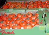 La Consejería de Agricultura organiza un curso sobre asociacionismo y comercializació