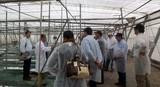 La Cátedra Cajamar-UAL ofrece la edición más internacional del curso en agricultura bajo plástico