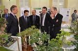 Diputación acoge la exposición ‘La Agricultura de Almería a Escala’