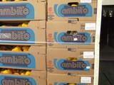 Empresas de Almería donan más de 650.000 kilos de frutas y hortalizas a Bancos de Alimentos