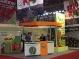 Hazera presenta su nueva gama de tomates para satisfacer las necesidades del agricultor