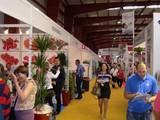 ExpoLevante Níjar 2012 supera todas las expectativas de visitas a falta de una jornada para el cierre
