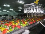 La Junta entrega una subvención de 2,18 millones de euros a Alhóndiga La Unión para racionalizar su actividad agroindustrial