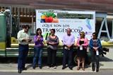 CERES informa a los ciudadanos del peligro de consumir productos transgénicos