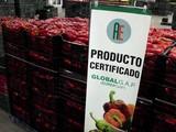 Agrupaejido eleva hasta las 1.300 hectáreas con certificación GlobalG.A.P. de Andalucía