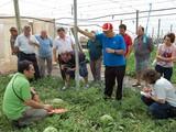 Nunhems presenta su nueva sandía Bengala F1*, una variedad innovadora para productores y comercializadoras