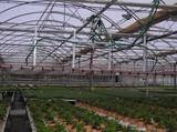La Consejería de Agricultura actualiza conocimientos sobre manejo del clima en invernaderos a técnicos agrícolas