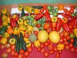Agrupalmería, Caparrós Nature, S.A.T. Las Hortichuelas y Unión de Agricultores presentarán sus productos en Reino Unido