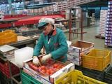 El valor de las exportaciones de frutas y hortalizas de Almería crece un 6,4% entre enero y abril