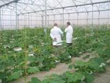 La Junta celebra un curso sobre empresa agraria para la incorporación de jóvenes a la agricultura intensiva