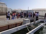 Las microalgas amplían sus utilidades agroalimentarias y energéticas