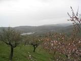 Almería incrementa un 5% el volumen de la exportación de frutos secos entre enero y abril