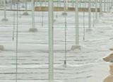 COAG Almería informa de cómo queda la situación del sector agrario tras la subida del IVA