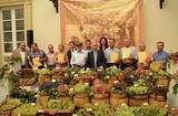 Diputación ayuda a recuperar más de 60 variedades de uva de la provincia
