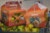 El Ifapa logra elevar un 20% la producción de tomate raf
