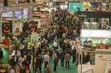 Hoy comienza FRUIT ATTRACTION, el gran evento del sector hortofrutícola  internacional a escena