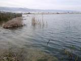 La Balsa del Sapo, a punto de desbordarse por las últimas lluvias