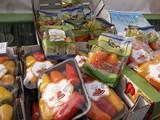 Enza Zaden muestra todos sus conceptos a productores, comercializadores y distribuidores en su House Fair 2012