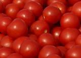 La RASFF lanza una alerta tras la detección de etefón en tomate holandés