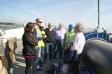 El PSOE ejidense constanta que la canalización de la tubería del bombeo adicional de la Balsa del Sapo avanza a buen ritmo