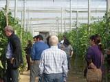 Semillas Med Hermes celebra sus primeras jornadas de puertas abiertas en la zona del Poniente almeriense con gran éxito de asistencia