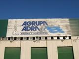 La judía garrafón se ha vendido a casi 7 euros el kilo en Agrupaadra