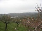 La Junta ayuda con más de 600.000 euros a 300 agricultores de Almería con explotaciones en zonas de montaña y con dificultades naturales