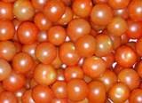 La RASFF actualiza una alerta sanitaria por cherry italiano importado por Alemania con Etefón