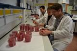 Investigadores de la UAL descubren un hongo que actúa como biofertilizante en la agricultura