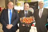 La IGP Tomate La Cañada trabaja para dar a conocer uno de los productos más selectos de la agricultura almeriense