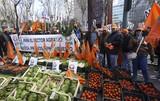 Miles de agricultores y ganaderos claman contra los recortes