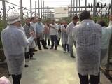 Nunhems organiza una jornada de puertas abiertas en Motril para mostrar dos tomates cherry, Essential F1 y Dreamer F1