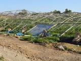 La Junta invertirá 18 millones de euros en la mejora del abastecimiento de agua y del riego en el Almanzora