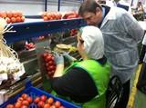 La Junta convoca para 2013 ayudas para implantar sistemas de gestión de calidad y mejorar la trazabilidad en industrias agroalimentarias
