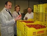 La secretaria general de Agricultura y Alimentación destaca la labor pionera de Coprohníjar en la producción integrada