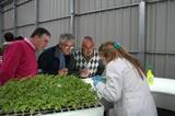 Semilleros Saliplant ofrece plantas criadas con menor presión de plagas y mejor clima
