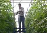 La Junta de Andalucía abona en estos días el pago de 5,6 millones en ayudas agroambientales, con 1.296 beneficiarios