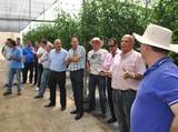 De Ruiter organiza un viaje a Canarias para presentar  sus portainjertos y sus novedades a los principales semilleros de la Península Ibérica